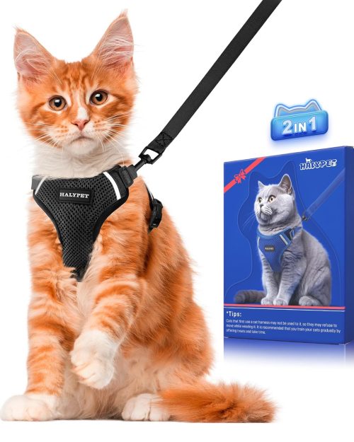 Cat Harness and Leash Set